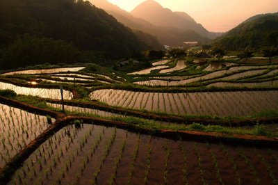 🏞️ 이시부 다랭이논(이시부노타나다)